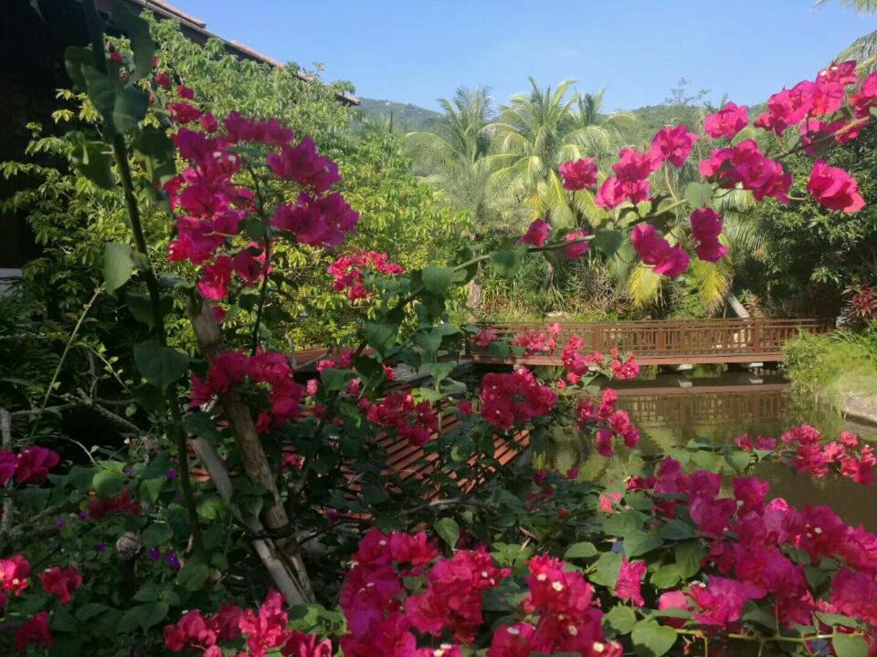 Stony Brook Villa Jianguo Resort Sanya Bagian luar foto