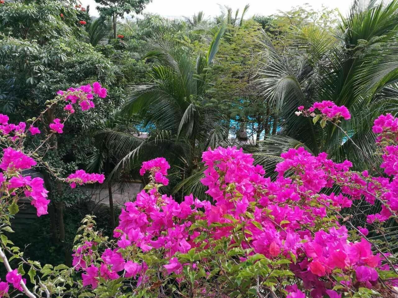 Stony Brook Villa Jianguo Resort Sanya Bagian luar foto